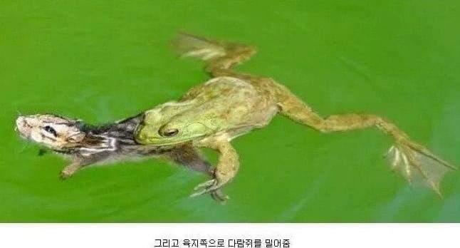 슬프잖ㅇ아