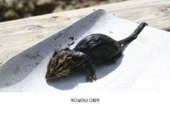 슬프잖ㅇ아