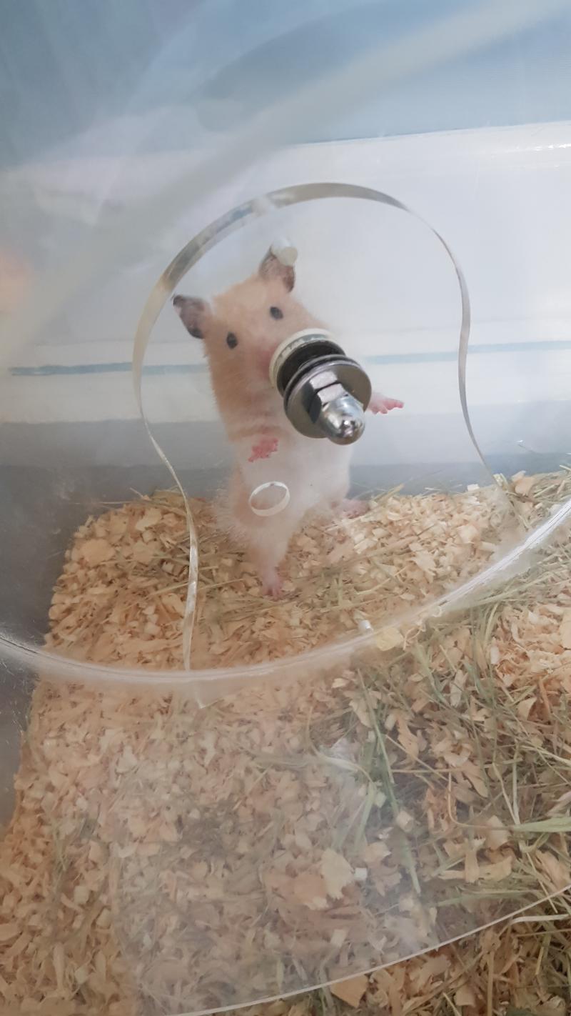 크킄 더컷다 이제 사람 손도 안무서워해서 내가 주물럭거려도 뭐라안한다구~!!@!!!!