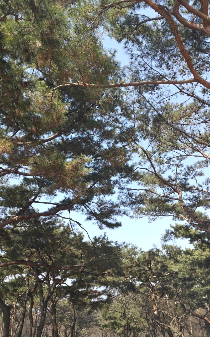 안녕 스레주! 이런 질문도 타로로 볼 수 있을지 모르겠는데 너무 궁금하고 답답해서 달아봐ㅠㅠ 알게 된건 1년 전쯤이고 요즘에 좀 만날 일이 잦아