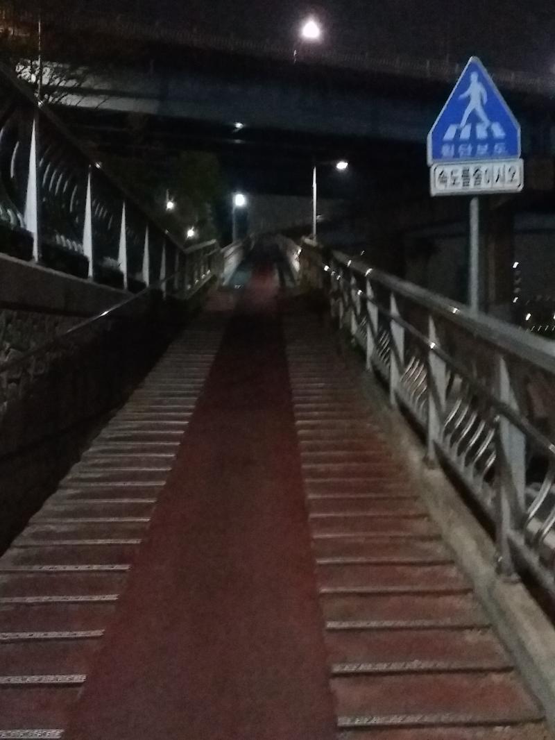잠 안와서 한강갔을때 찍은고얌 이것도 가능한지??