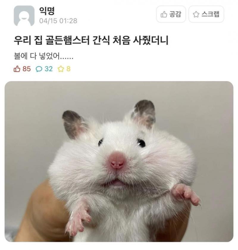 ㄱㅇㅇ