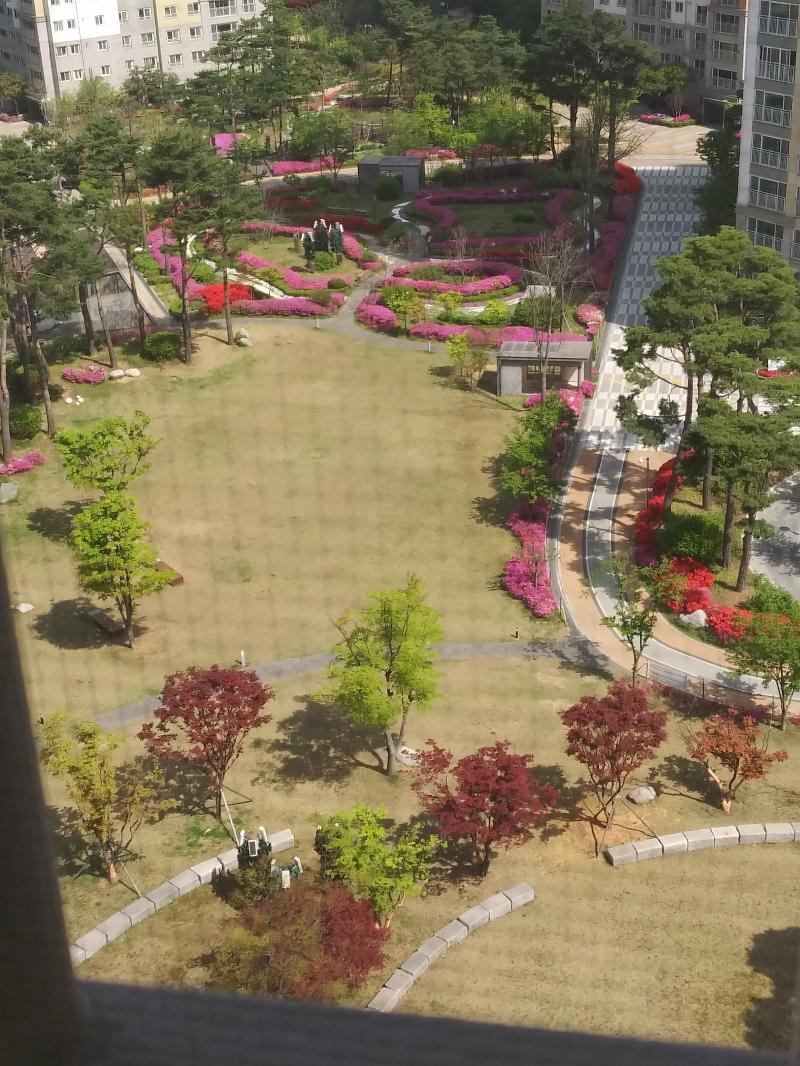 얘들아 이것봐봐 우리 단지 완전 알록달록하지 사진이 칙칙하긴 한데 실제로 보면 햇빛받아서 예뻐