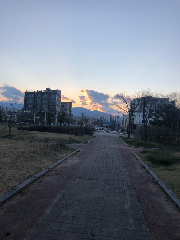 이런것도 해당돼? 직접 찍은거긴한데,,