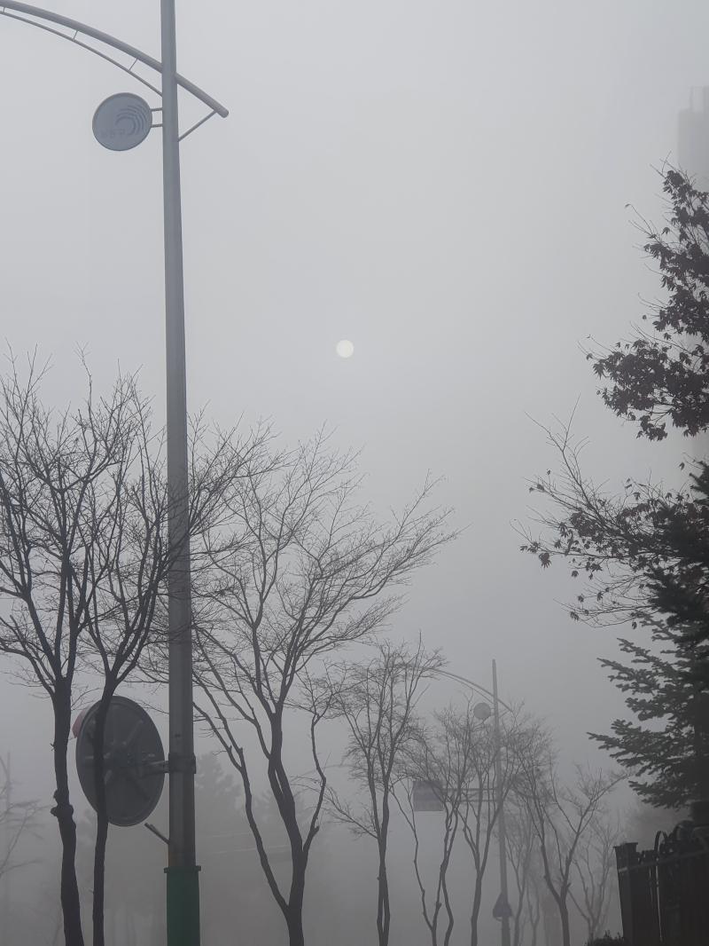 이런것도 해당돼? 직접 찍은거긴한데,,