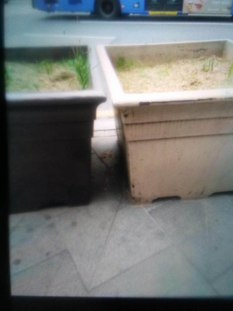 이수빕이야! 11번 출구 찾아봤는데 왜지... 없더라ㅠㅠㅠ 그래서 혹시나 하고 12번 출구, 마을버스 정류장 앞, 8번 출구 다 가봤는데 없더라