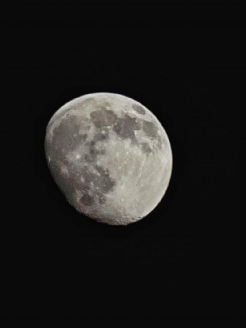 보정했다♡