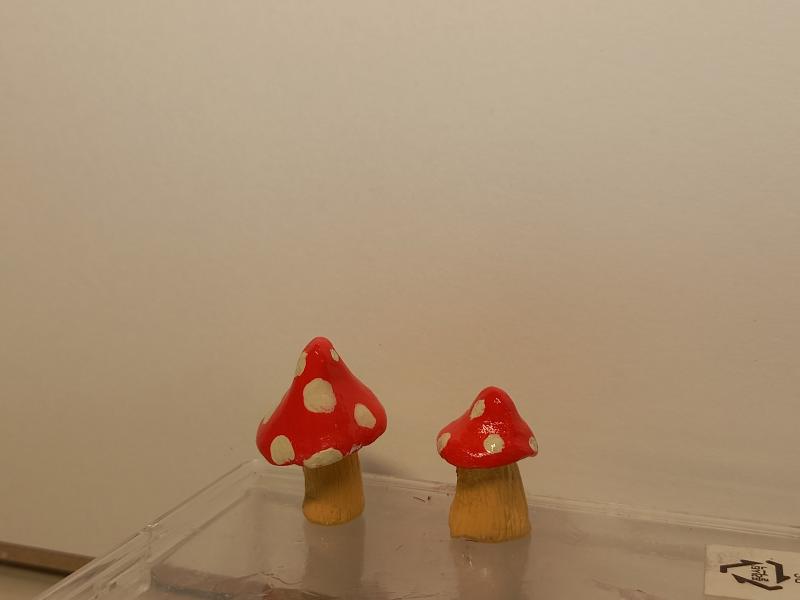 ✨🍄💫유광바니쉬까지 입어서 빤딱빤딱하다 난장✨🍄💫