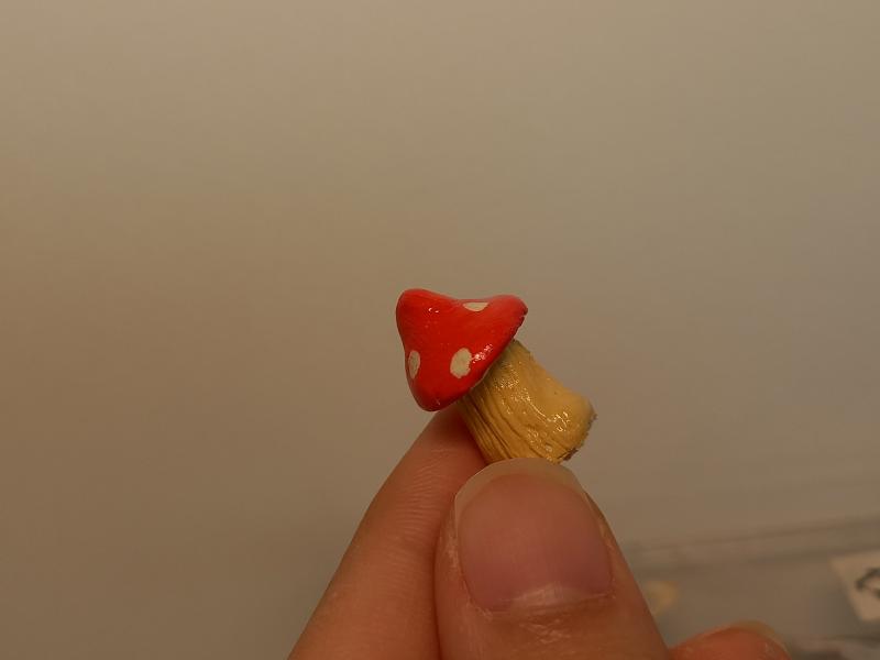 ✨🍄💫유광바니쉬까지 입어서 빤딱빤딱하다 난장✨🍄💫