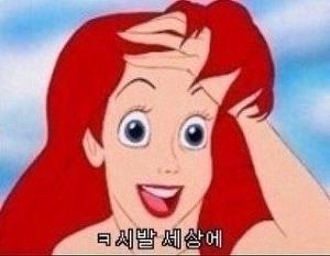 >>13 초반: 아 시발 세상에!!/중반: 에잇/답레스를본후:죽이자