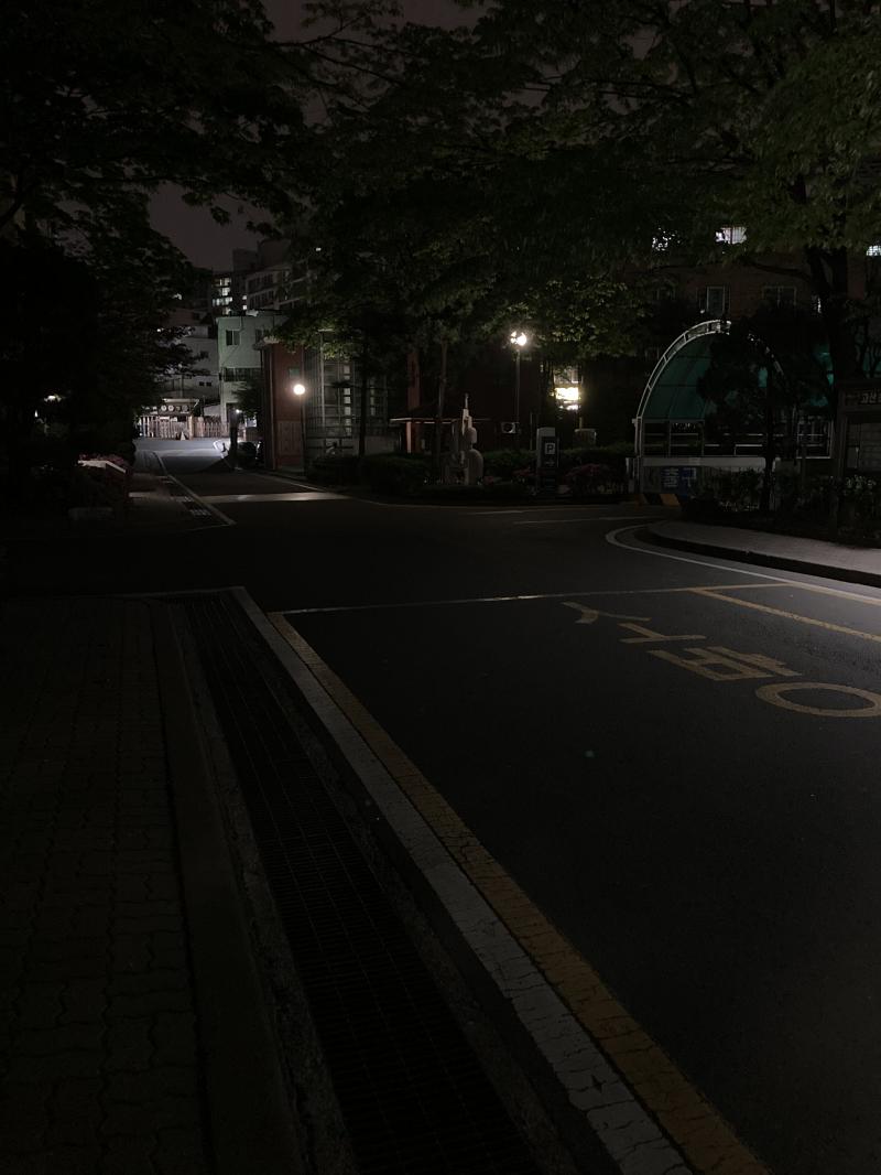 밤에 찍었어