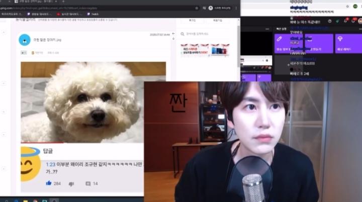 하 넘 귀여워 진짜...