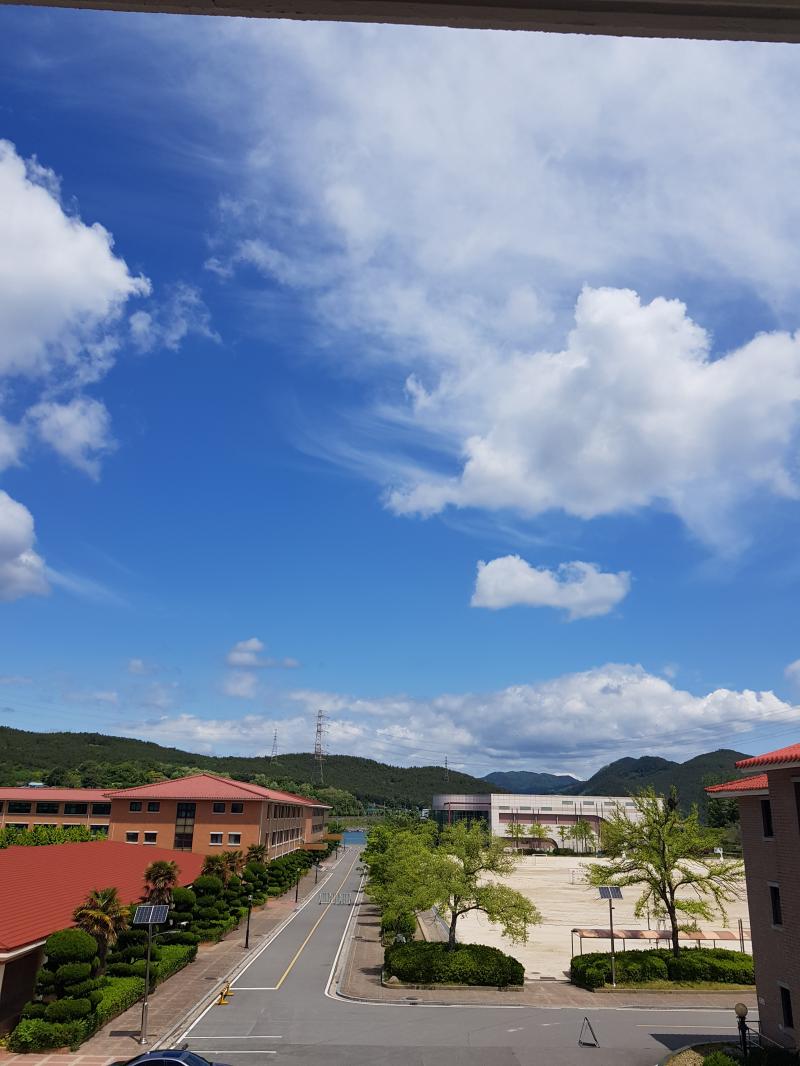 분위기가 ㅈㄴ 다른 학교의 느낌 왜 자습실만 이렇게 무섭지...