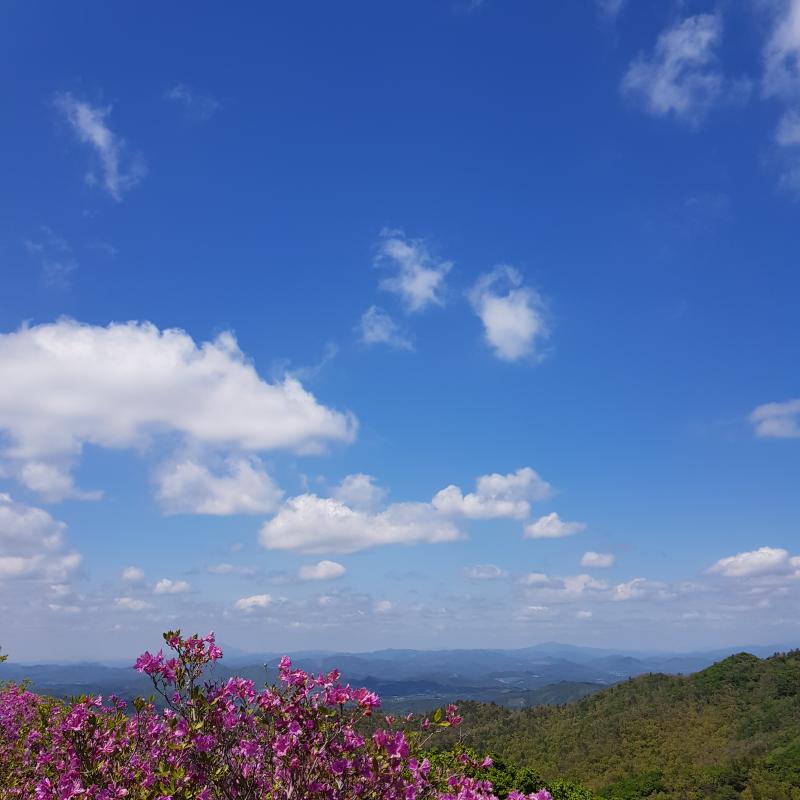 프리티