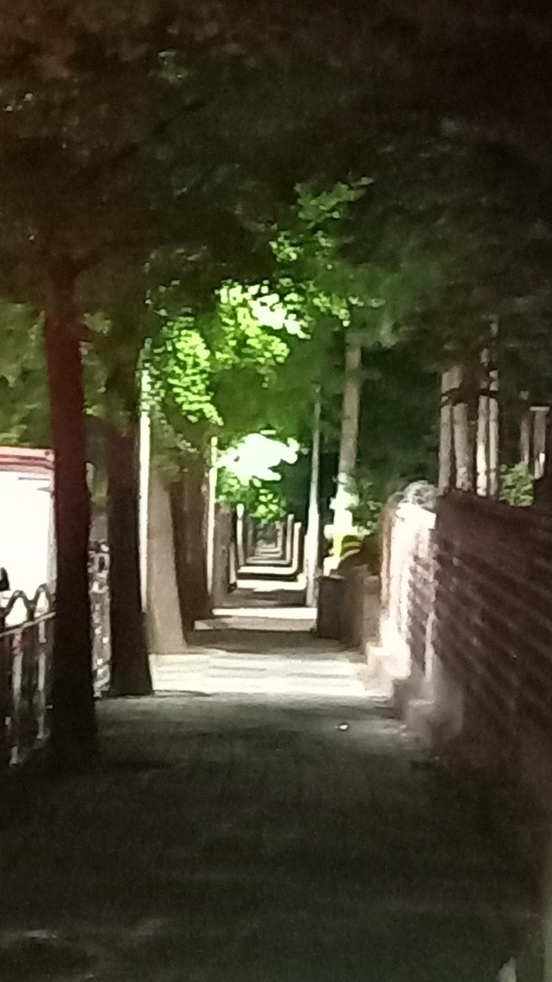 1시간 동안 뛰어 댕기고 돌아오면서 찍은 사진! 하지만 더 뛸거야