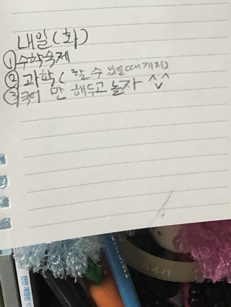 내일안하면 레주는 탈모빔맞음