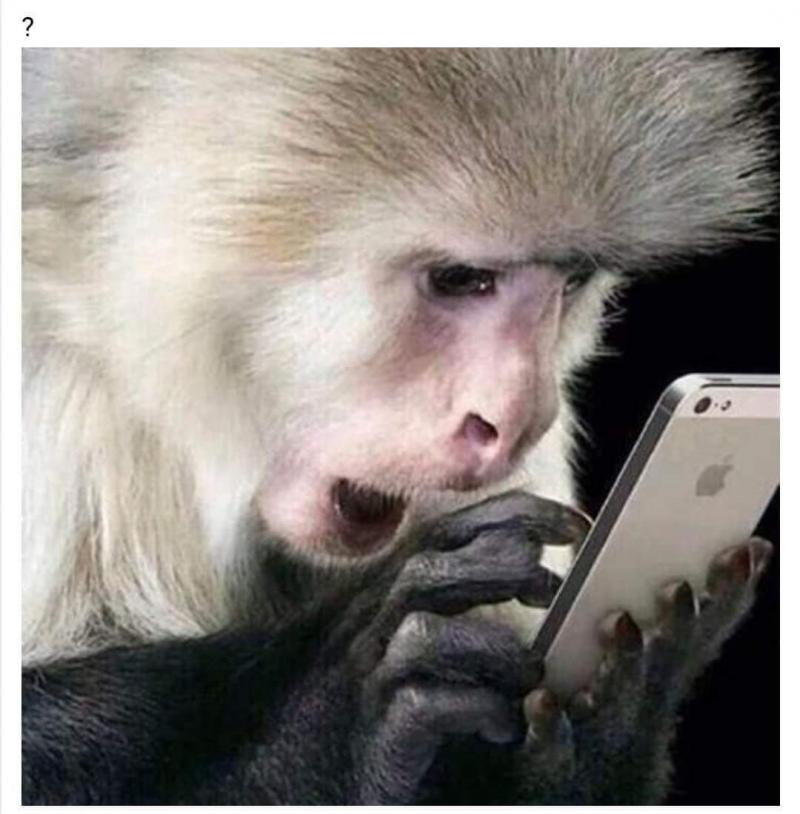 ?