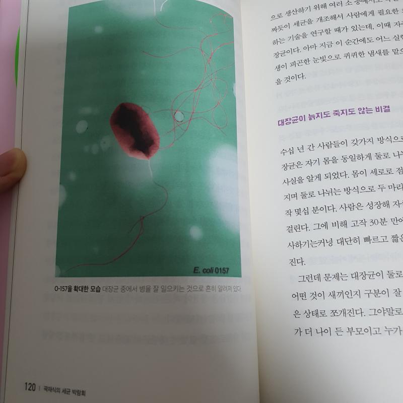 글은 없고 사진..이라도 올릴겡
