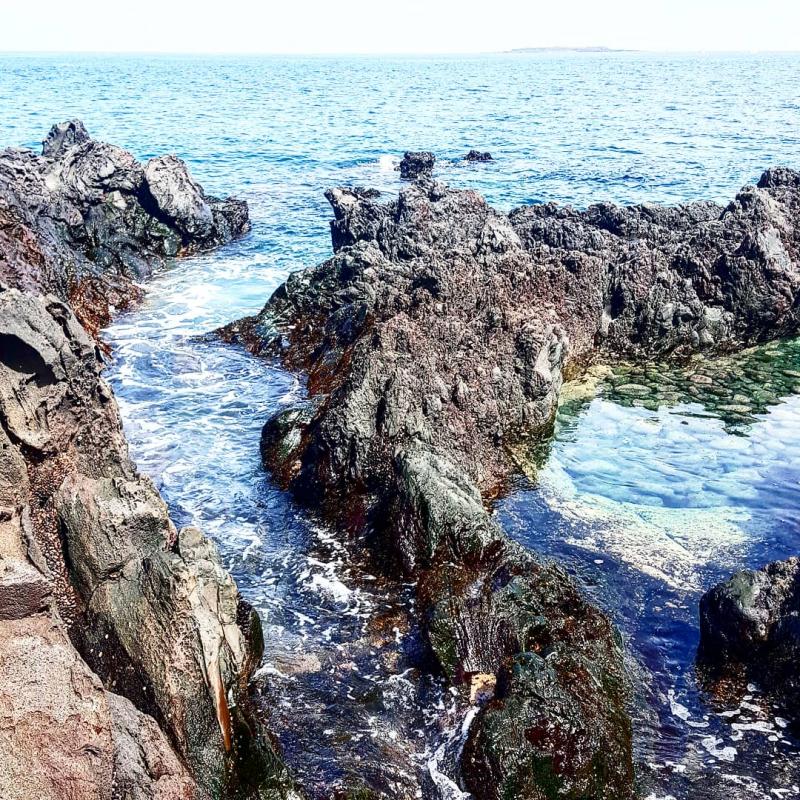 왔는데 하늘도 너무 예뻤고 야자나무가 있어서 좋았어 숙소 앞에 잔디밭이 있었는데 너무 잘 가꿔져 있어서 예뻤고 방금 나오면서 보니까 잔디꽃? 뭐