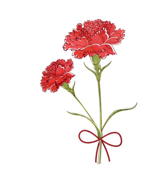 오늘은 어버이날이었죠. 아버지가 카네이션 한 송이를 가지고 싶다고 얘기하셨어요. 길 가는데 갑자기 생각나더라고요. 꽃집에 들어갔는데 사람들이 많