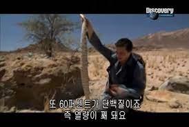 ???: 훌륭한 단백질원인데...