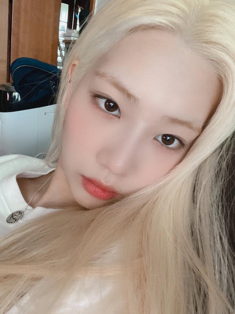 오늘 올라온 김립...