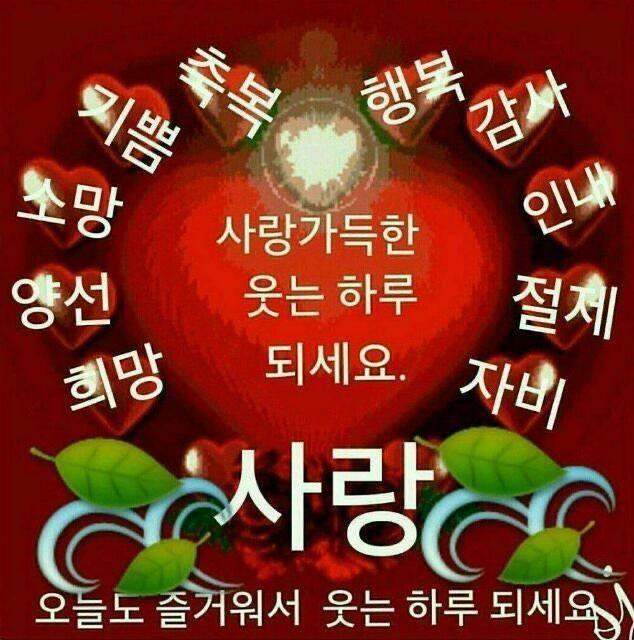 >>6 굳굳!!고마워!