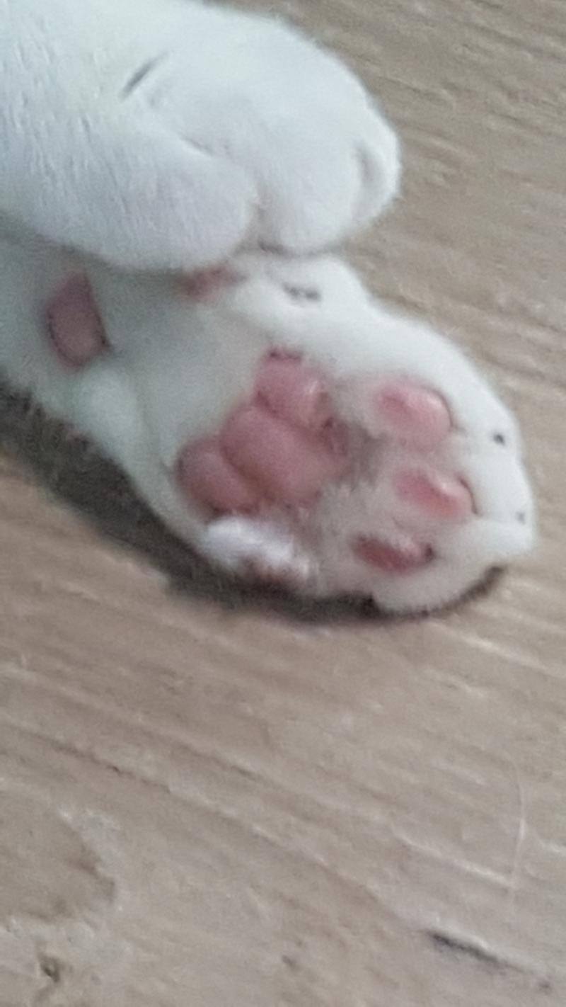 친구네집 고영희