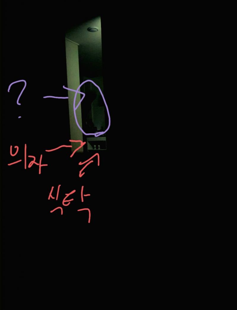 문다시 닫았어ㅜ 어디 그림자인가..근데평소에는 저딴거없었는데..