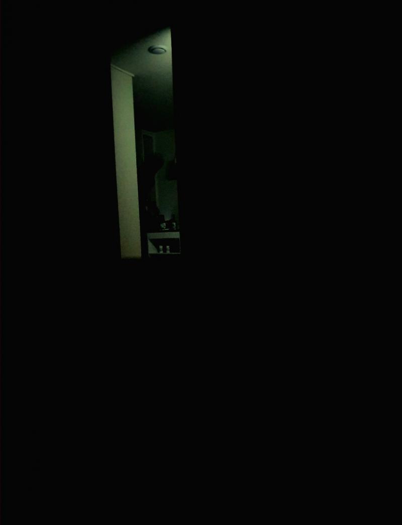좀전에 소리내면서 문열다가 소름끼쳐서 다시 들어왔어 내눈에만 이상하게 보이는건가?괜히 그냥 두려움이 커져서 그냥그렇게 보이는거겟지?여기대단지인데