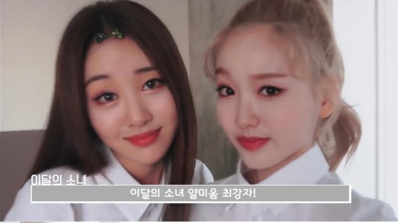 기분 좆같으니 웃긴짤 올려야지