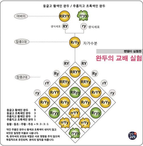 >>43 사진 참고
