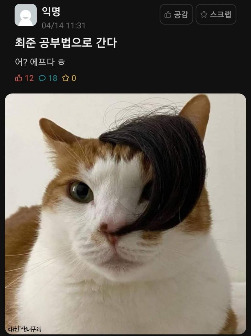 n달만에 돌아온 스레주! 하지만 스레가 잘 돌아가는 것을 보고 기겁을 하는데... 개뿌듯하구먼유!