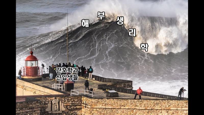 학과별 짤