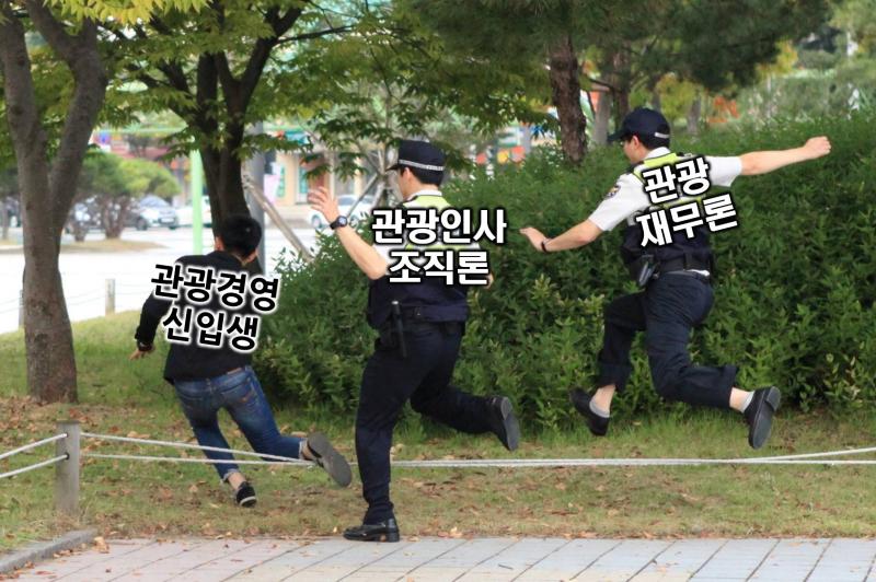 학과별 짤