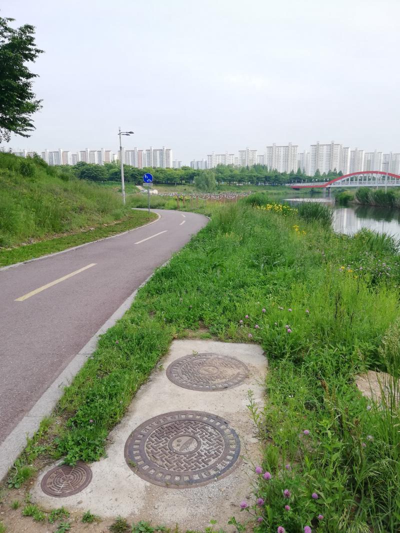 아까 그 wJT인데요, 안타깝게도 오늘도 게 씨가 출몰할 예정입니다. 물이 가득하네요. 안산 호수공원 보고 가세요!