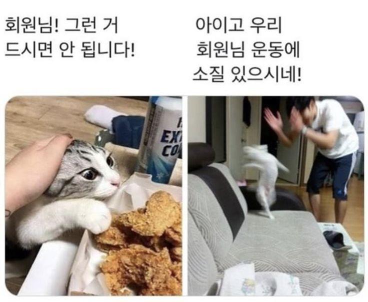 안 겹ㅋㅋㅋㅋㅋㅋㅋ칰ㅋㅋㅋ면ㅋㅋㅋ좋ㅋㄱ겠당ㅋㅋ-ㅌㅌㅌㅌㅌㅌㅋㅋㅋㅋㅋㅋㅋㅋ