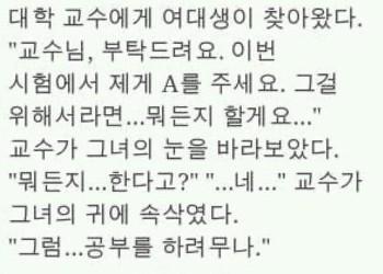 요런것도 있다