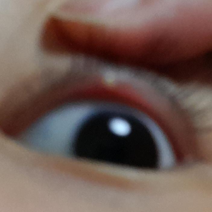 이거봐