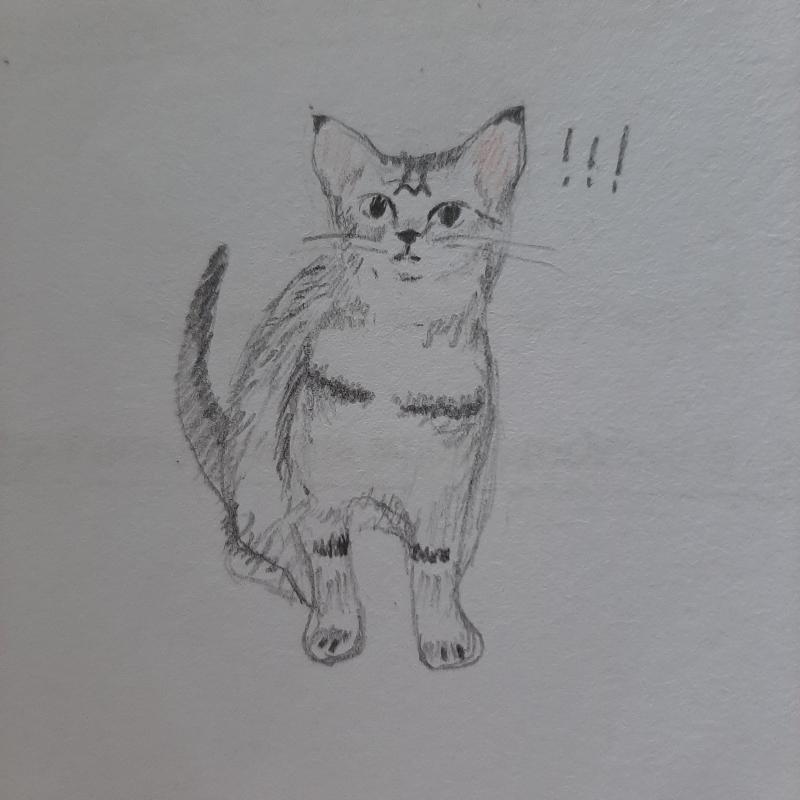 >>14