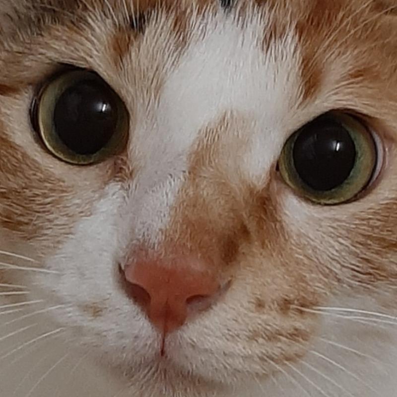 얼빡샷 그려줄수있을까 ??