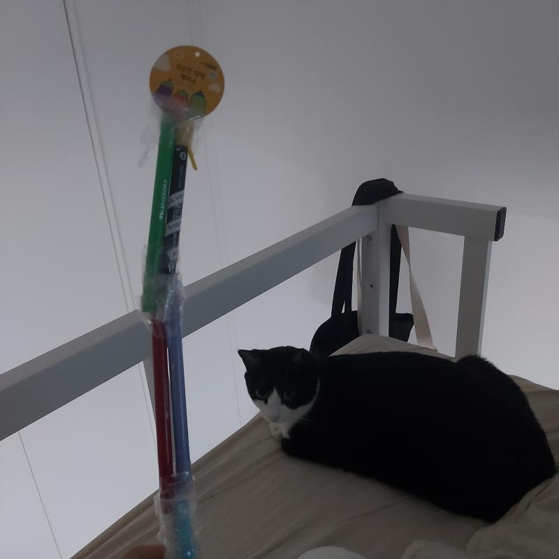 >>6 간zl 뽀대나는 삼단 모기채