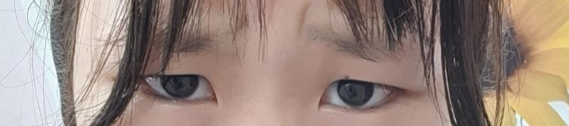 이러케