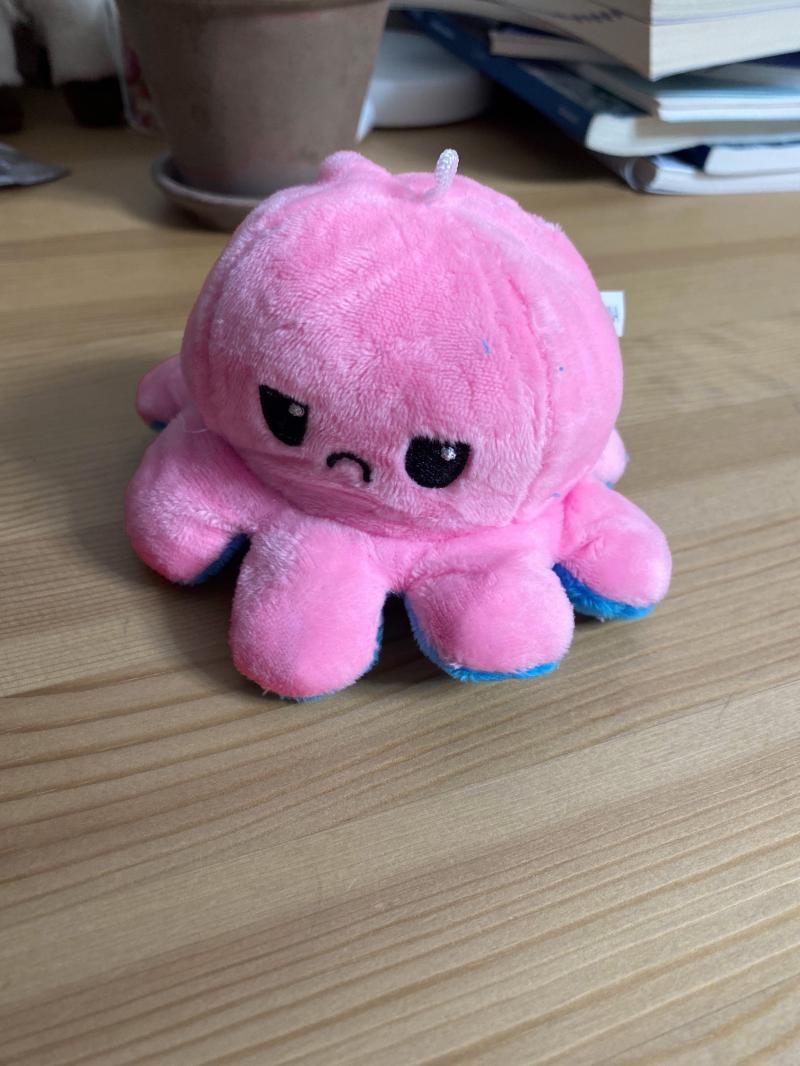 문어인형 샀어 귀엽지