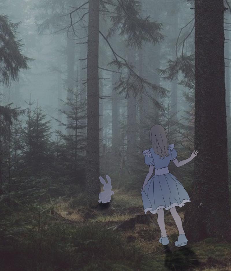 1. 그럼 시작할까요? 이상한 나라의 앨리스 기반