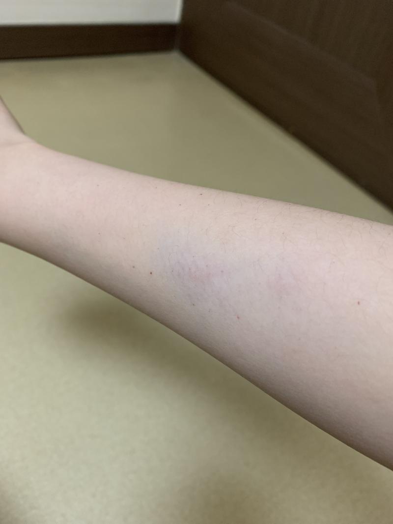 사진엔 잘 안 담기네