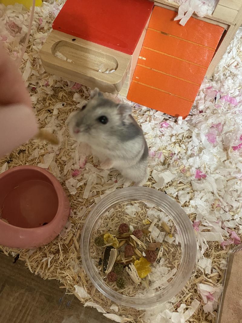 오늘의 사진😊 모두 귀엽다해줘서 고마웡:)
