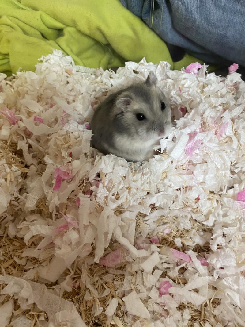 오늘의 사진😊 모두 귀엽다해줘서 고마웡:)