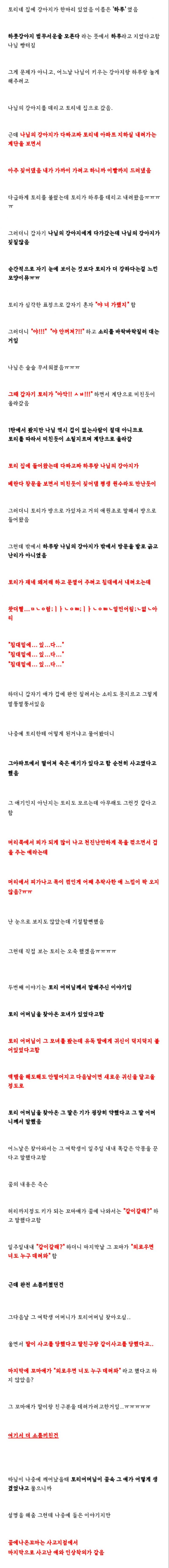 3. 강아지 이 밑으로 다른 출처 나오기 전까진 네블 비밀의 중심