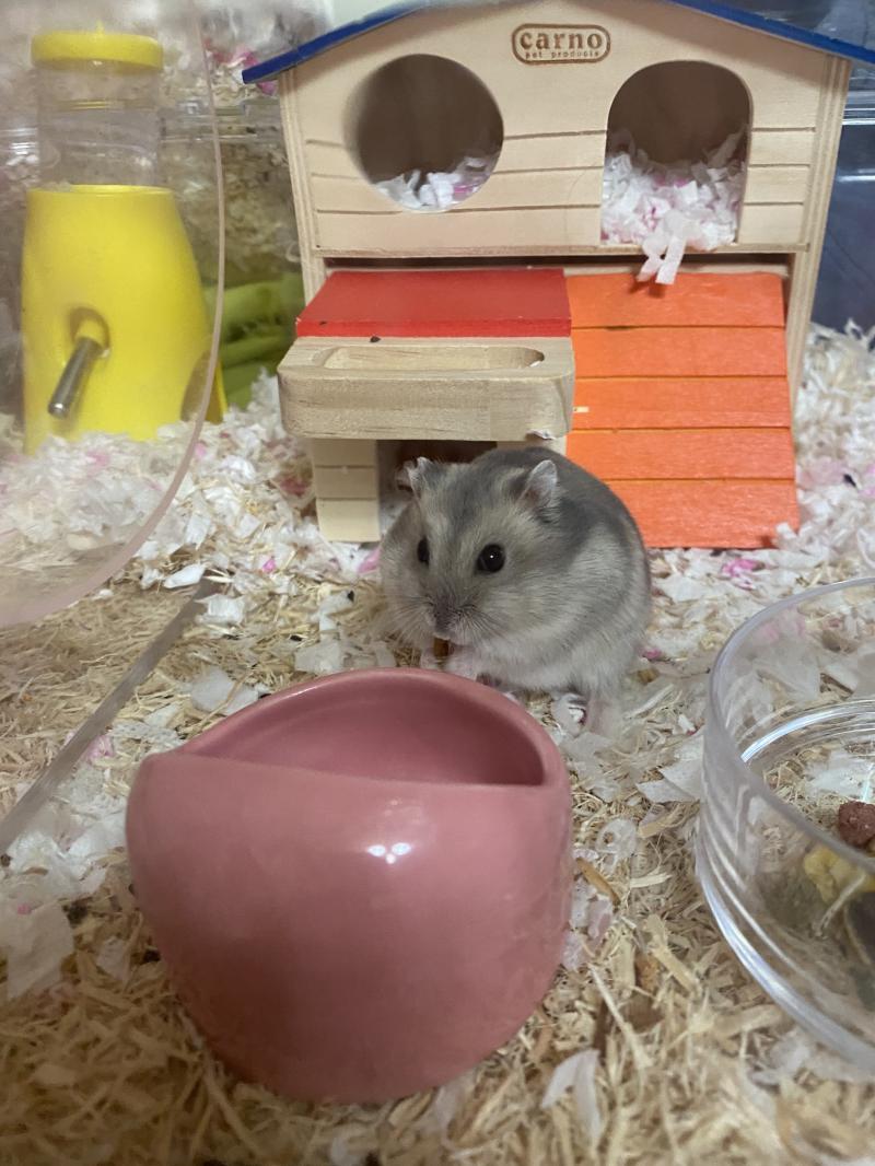 오늘의 사진😊 모두 귀엽다해줘서 고마웡:)